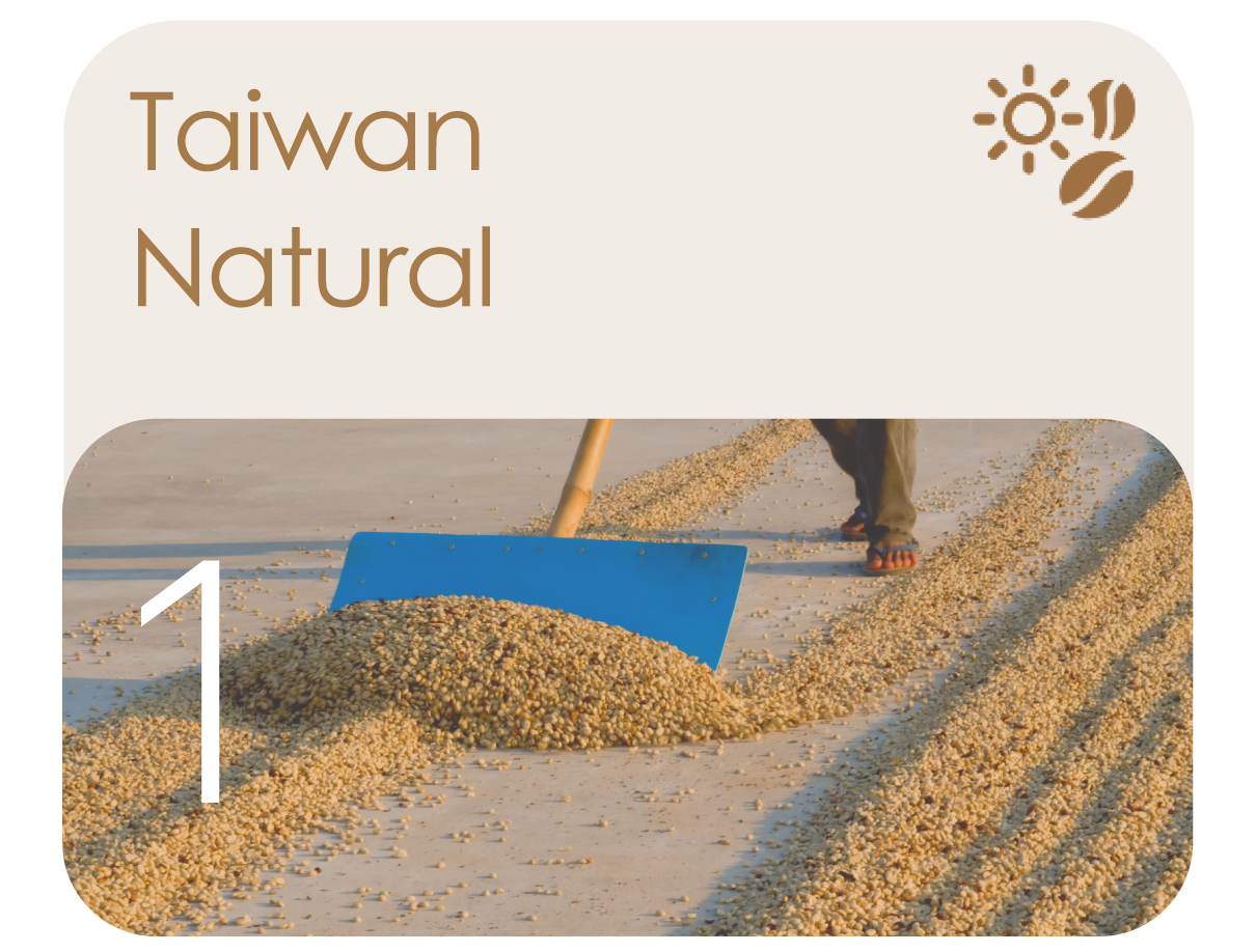 Taiwan natural AI model targets ripe yellow-brown beans, avoiding false defect detection during sorting.