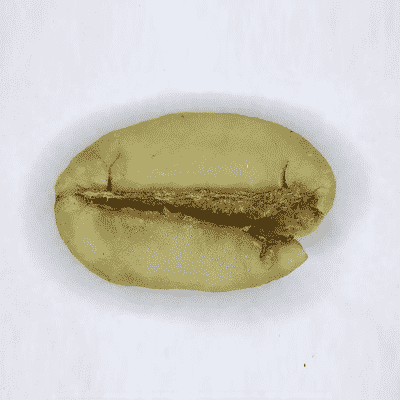 avercasso AI coffee sorter detects quakers, SCA secondary defects, though not fully removable, aiding quality consistency.