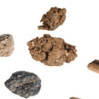 avercasso AI coffee sorter removes foreign materials, key SCA primary defects, ensuring clean, consistent green coffee quality.