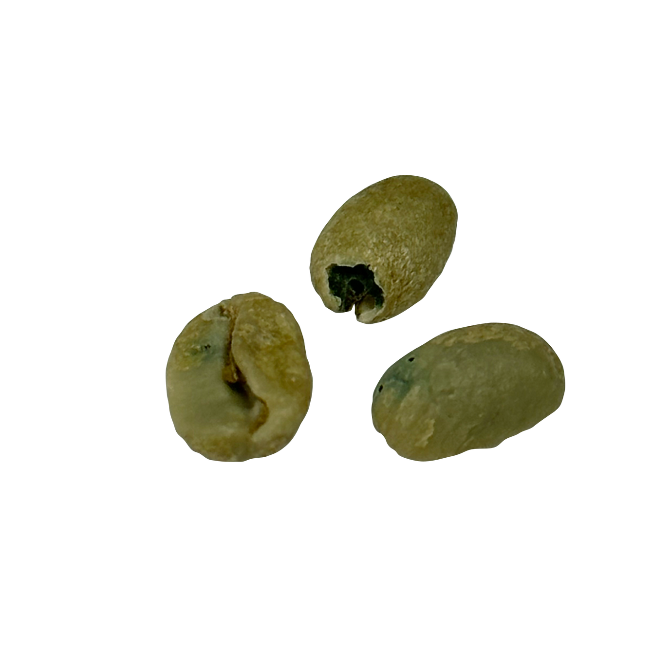 avercasso AI coffee bean sorter precisely removes moldy beans, SCA primary defects, ensuring stable and consistent quality.