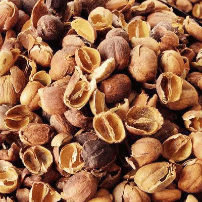 avercasso AI coffee sorter removes coffee husk, classified as SCA secondary defect, ensuring clean and stable quality.