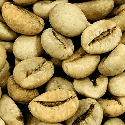 avercasso AI coffee sorter removes parchment beans, classified as SCA primary defects, ensuring stable and consistent quality.