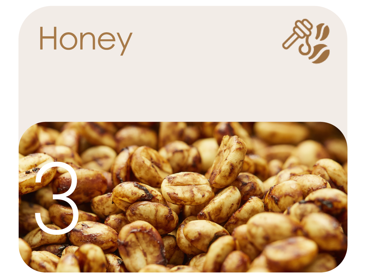 Honey process model avoids misjudging mucilage as defect, fine-tuned for Taiwan beans with spots and silver skin.