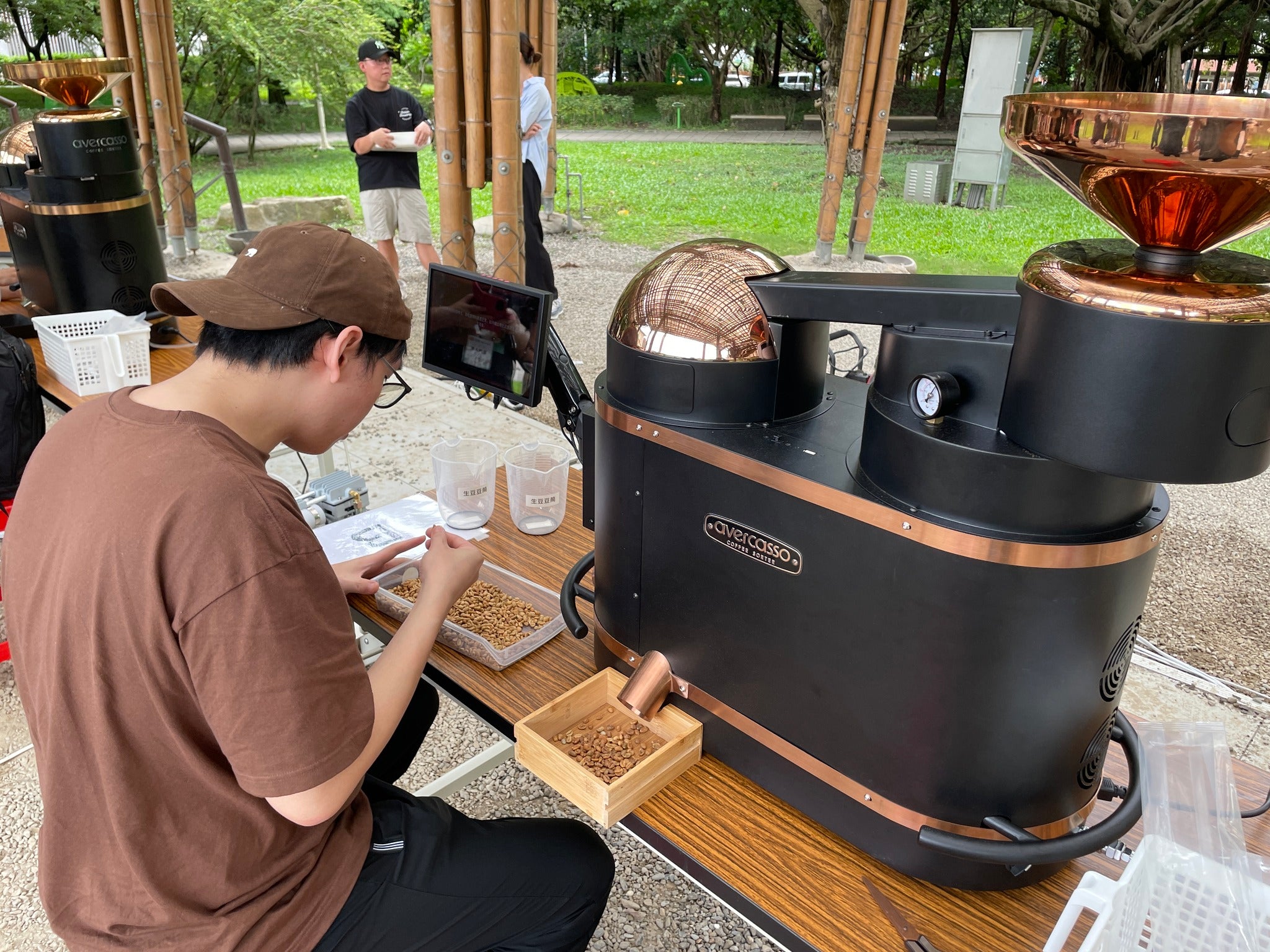 Professional coffee roaster using avercasso sorter to grade green beans during a live demo session
