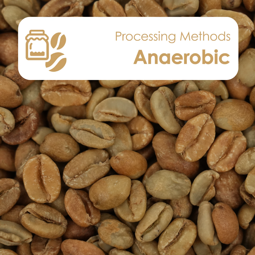 Anaerobic