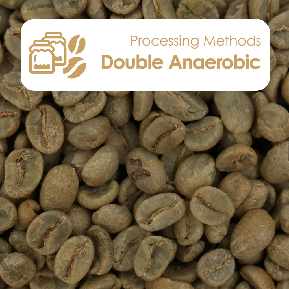 Double Anaerobic