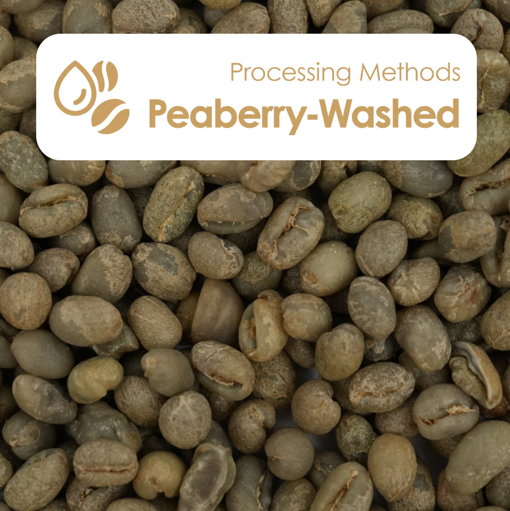 Peaberry-Washed