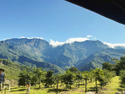 A coffee farm in Pingtung’s Taiwu mountains, nestled under lush peaks, showcasing the pure flavors of tribal-grown coffee.