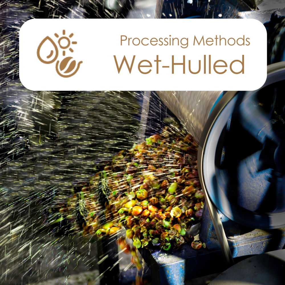 Wet-Hulled（ウェットハル）機器本体をお持ちの方のみ購入可