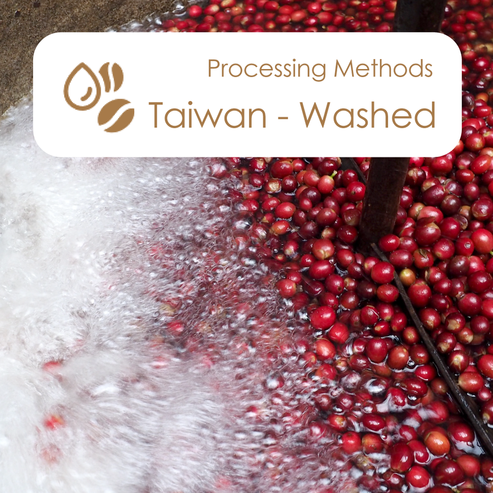 Taiwan - Washed（台湾ウォッシュド）機器本体をお持ちの方のみ購入可