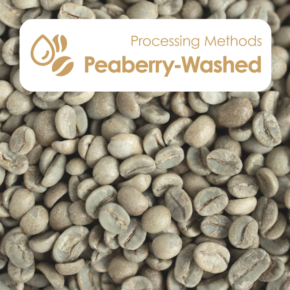 Peaberry-Washed