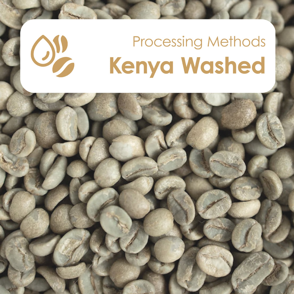 Kenya Washed