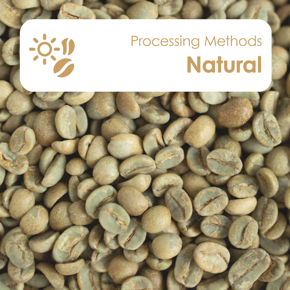 Natural (Robusta)