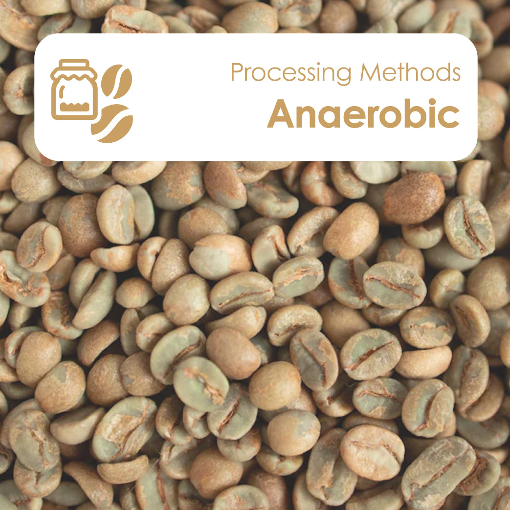 Anaerobic