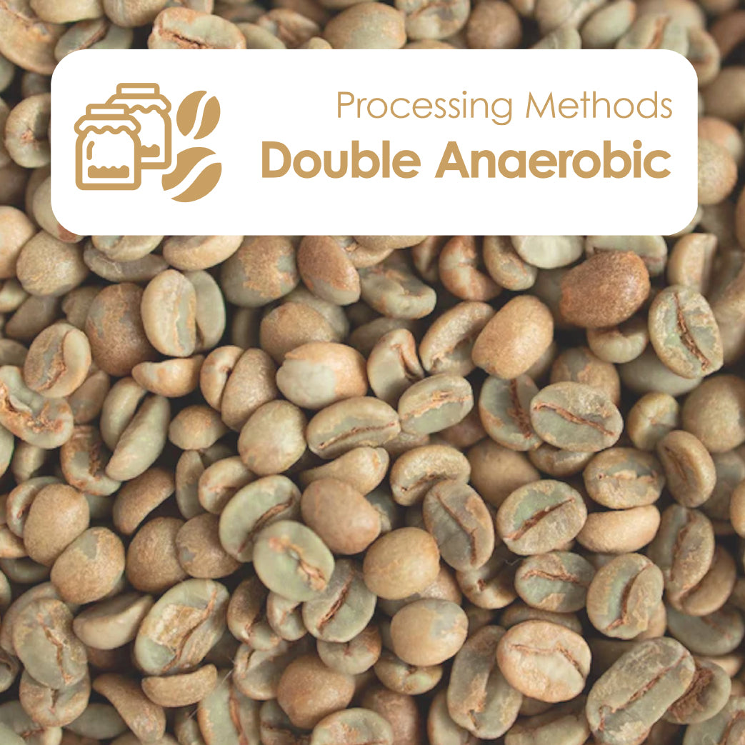 Double Anaerobic